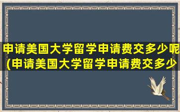 申请美国大学留学申请费交多少呢(申请美国大学留学申请费交多少合适)