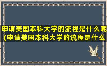 申请美国本科大学的流程是什么呢(申请美国本科大学的流程是什么意思)