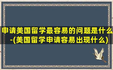 申请美国留学最容易的问题是什么-(美国留学申请容易出现什么)