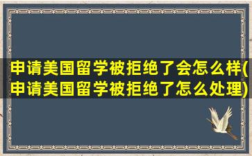 申请美国留学被拒绝了会怎么样(申请美国留学被拒绝了怎么处理)