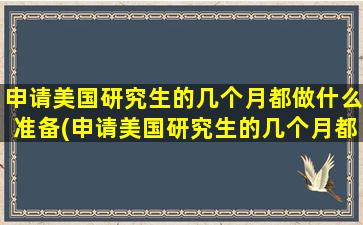 申请美国研究生的几个月都做什么准备(申请美国研究生的几个月都做什么呢)