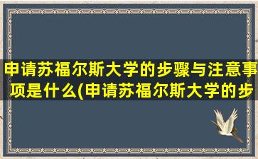 申请苏福尔斯大学的步骤与注意事项是什么(申请苏福尔斯大学的步骤与注意事项包括)