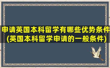 申请英国本科留学有哪些优势条件(英国本科留学申请的一般条件)