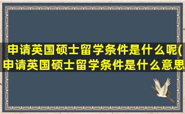 申请英国硕士留学条件是什么呢(申请英国硕士留学条件是什么意思)