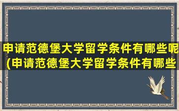 申请范德堡大学留学条件有哪些呢(申请范德堡大学留学条件有哪些专业)