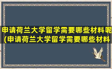 申请荷兰大学留学需要哪些材料呢(申请荷兰大学留学需要哪些材料和证件)