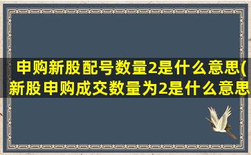 申购新股配号数量2是什么意思(新股申购成交数量为2是什么意思)