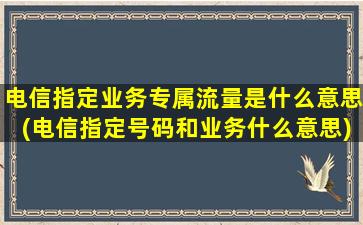 电信指定业务专属流量是什么意思(电信指定号码和业务什么意思)