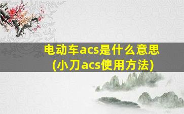 电动车acs是什么意思(小刀acs使用方法)