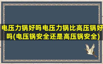 电压力锅好吗电压力锅比高压锅好吗(电压锅安全还是高压锅安全)