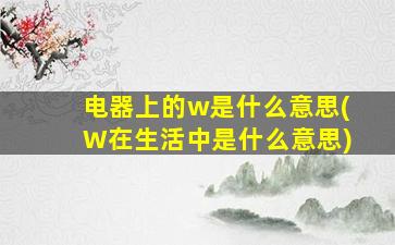 电器上的w是什么意思(W在生活中是什么意思)