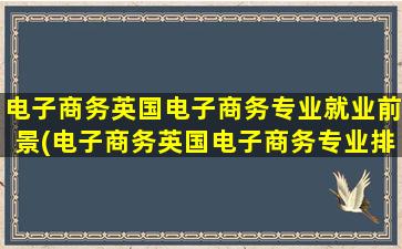 电子商务英国电子商务专业就业前景(电子商务英国电子商务专业排名)