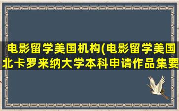 电影留学美国机构(电影留学美国北卡罗来纳大学本科申请作品集要求)