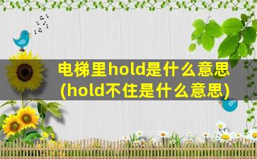 电梯里hold是什么意思(hold不住是什么意思)