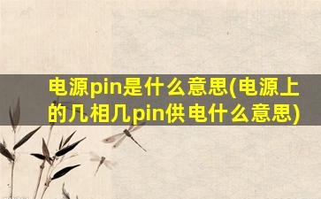 电源pin是什么意思(电源上的几相几pin供电什么意思)