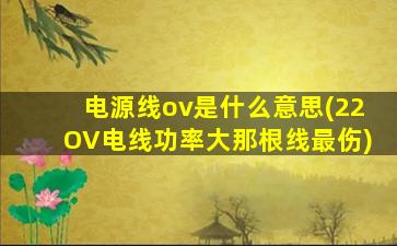 电源线ov是什么意思(22OV电线功率大那根线最伤)