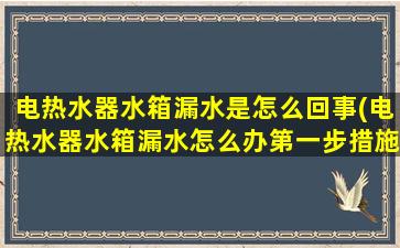 电热水器水箱漏水是怎么回事(电热水器水箱漏水怎么办第一步措施)