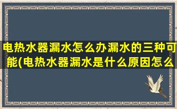 电热水器漏水怎么办漏水的三种可能(电热水器漏水是什么原因怎么维修啊)