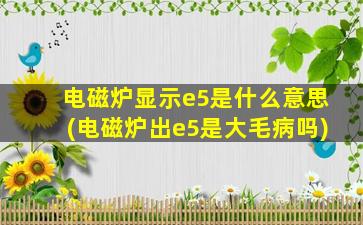 电磁炉显示e5是什么意思(电磁炉出e5是大毛病吗)