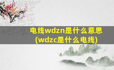 电线wdzn是什么意思(wdzc是什么电线)