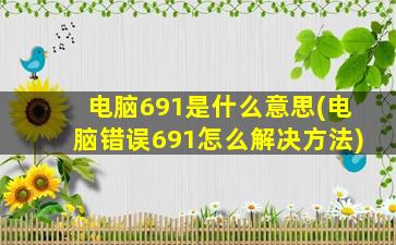 电脑691是什么意思(电脑错误691怎么解决方法)