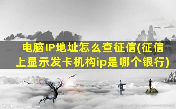 电脑IP地址怎么查征信(征信上显示发卡机构ip是哪个银行)