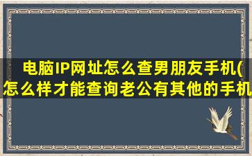 电脑IP网址怎么查男朋友手机(怎么样才能查询老公有其他的手机号码用他身份证号码吗)