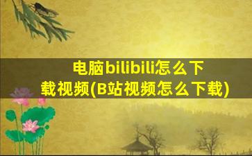 电脑bilibili怎么下载视频(B站视频怎么下载)