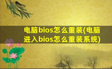 电脑bios怎么重装(电脑进入bios怎么重装系统)