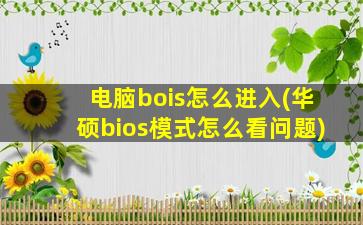 电脑bois怎么进入(华硕bios模式怎么看问题)