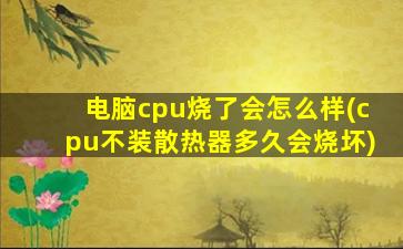 电脑cpu烧了会怎么样(cpu不装散热器多久会烧坏)