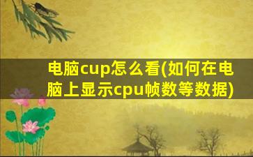 电脑cup怎么看(如何在电脑上显示cpu帧数等数据)