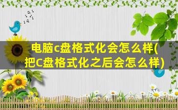 电脑c盘格式化会怎么样(把C盘格式化之后会怎么样)