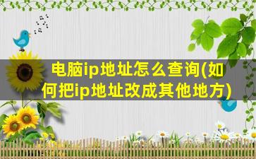 电脑ip地址怎么查询(如何把ip地址改成其他地方)