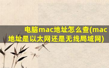 电脑mac地址怎么查(mac地址是以太网还是无线局域网)