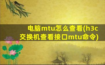 电脑mtu怎么查看(h3c交换机查看接口mtu命令)