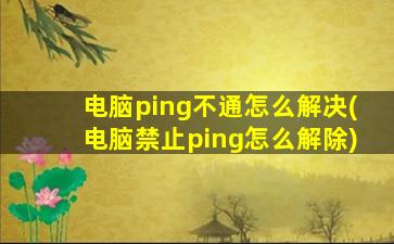 电脑ping不通怎么解决(电脑禁止ping怎么解除)