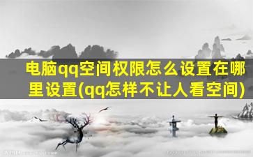 电脑qq空间权限怎么设置在哪里设置(qq怎样不让人看空间)