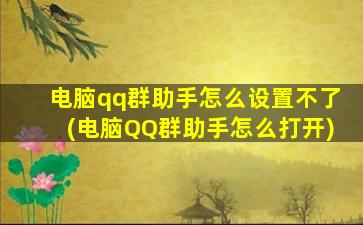 电脑qq群助手怎么设置不了(电脑QQ群助手怎么打开)