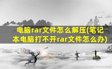 电脑rar文件怎么解压(笔记本电脑打不开rar文件怎么办)