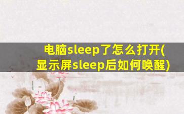 电脑sleep了怎么打开(显示屏sleep后如何唤醒)