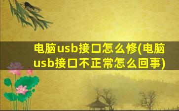 电脑usb接口怎么修(电脑usb接口不正常怎么回事)