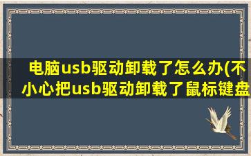 电脑usb驱动卸载了怎么办(不小心把usb驱动卸载了鼠标键盘不能用，重新开机也没自动安装驱动，怎么办)