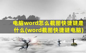 电脑word怎么截图快捷键是什么(word截图快捷键电脑)