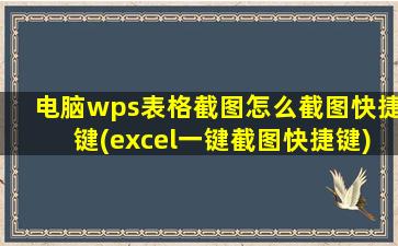 电脑wps表格截图怎么截图快捷键(excel一键截图快捷键)