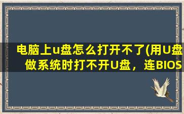 电脑上u盘怎么打开不了(用U盘做系统时打不开U盘，连BIOS也进不去了，怎么回事)