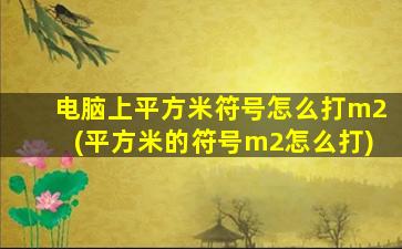 电脑上平方米符号怎么打m2(平方米的符号m2怎么打)