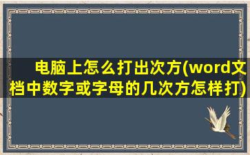 电脑上怎么打出次方(word文档中数字或字母的几次方怎样打)