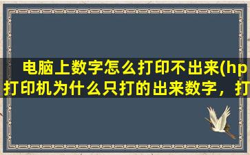 电脑上数字怎么打印不出来(hp打印机为什么只打的出来数字，打不出来字体)