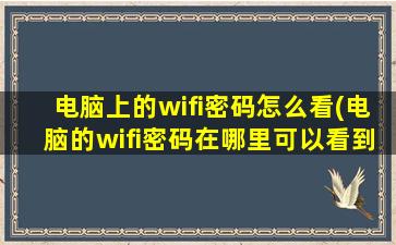 电脑上的wifi密码怎么看(电脑的wifi密码在哪里可以看到)